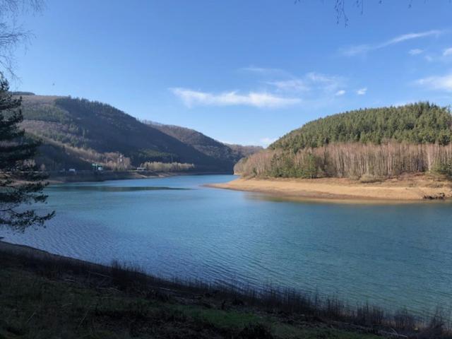 La Petite Brique *